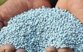 氮元素是什么肥料，通常是一種氮肥