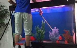 魚缸如何換水，一般采用熱水兌冷水的方式