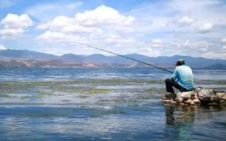 釣鰱鳙一般釣多深，釣淺是經(jīng)常采用的一種方式