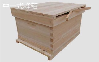 中蜂箱能放幾框合適，標(biāo)準(zhǔn)箱能容納10個(gè)巢框