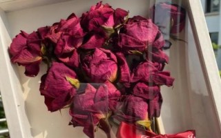 如何將玫瑰制成干花，可放在微波爐中烘干