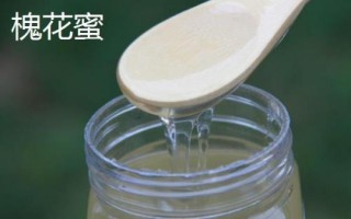 桉樹(shù)蜜和槐花蜜的區(qū)別，都是極為常見(jiàn)的蜂蜜