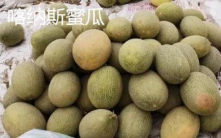 新疆阿勒泰地區(qū)的特產(chǎn)，喀納斯蜜瓜被譽為“阿山一絕”