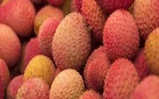 懷枝荔枝的特點，果皮暗紅、果頂渾圓、單果重達到20克