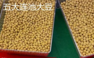 黑龍江黑河的特產，五大連池大豆是當地著名特產
