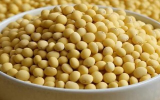 彩椒是不是轉(zhuǎn)基因食品，不是轉(zhuǎn)基因食品