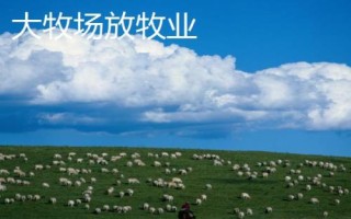 乳畜業(yè)和大牧場放牧業(yè)的區(qū)別，分布地區(qū)、地域類型和特點均不同