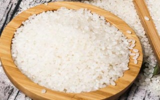 什么是珍珠米，本質(zhì)屬于粳米