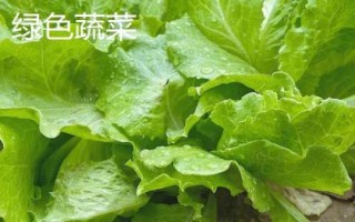 有機(jī)蔬菜與綠色蔬菜的區(qū)別，前者禁用化學(xué)物質(zhì)、后者按標(biāo)準(zhǔn)體系生產(chǎn)