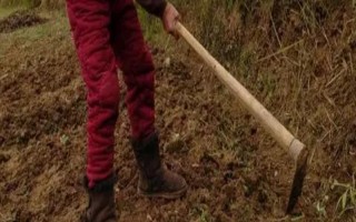 種地用的工具有哪些，不同工具的作用不同