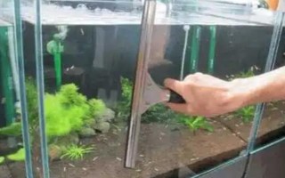 海水魚的飼養(yǎng)方法，每個月?lián)Q一次水
