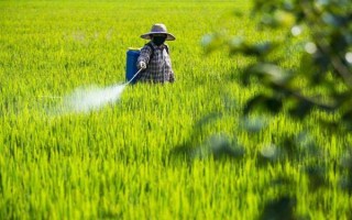 惡霉靈如何使用，可浸種、拌種等