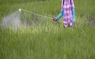 氯青菊脂能在家里噴嗎，藥效時間長不適合在家噴
