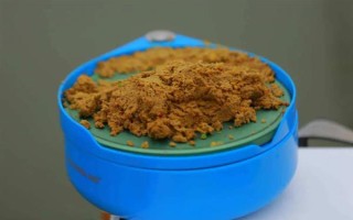 六月份能釣鯉魚，六月份的垂釣效果比較好