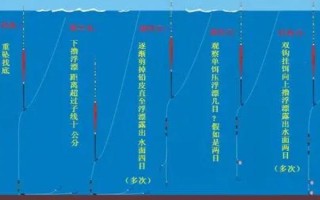 夏季野釣鯽魚如何調(diào)漂，一般選擇釣鈍