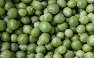 蘇豆12大豆種子特征特性，淮北中熟夏大豆品種