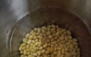 如何用大豆巧制氨基酸葉面肥，大豆粉和發(fā)酵菌劑的比例為1:100
