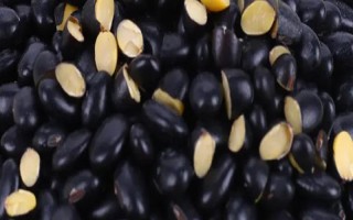 綠心黑豆和黃心黑豆區(qū)別，外觀和口感均不同