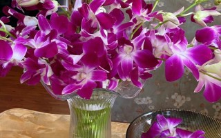 洋蘭的花語，寓意絢麗多姿、雍容華貴等