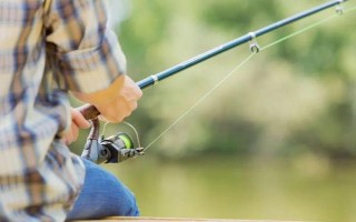 臺釣鯽魚子線要多長，根據(jù)魚情、季節(jié)、釣法等決定