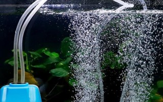 魚缸打氧機(jī)不出泡的解決辦法，可以嘗試將氧氣泵放在高一點(diǎn)的位置