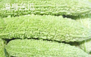 優(yōu)良的苦瓜品種，包括滑身苦瓜、長身苦瓜、夏豐苦瓜等種類
