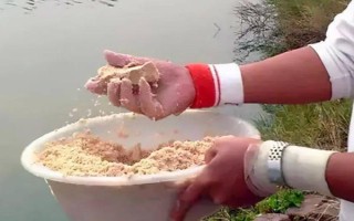 臺釣鯽魚子線要多長，根據(jù)魚情、季節(jié)、釣法等決定