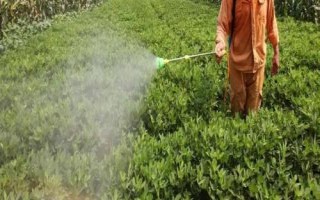 花生微肥施用技術(shù)，不同肥料的施用方式不同