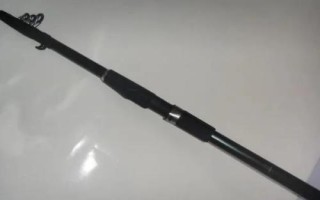 性價(jià)比高的海竿推薦，看看這十款