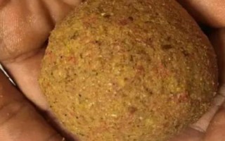 鳙魚的食物，主要吃浮游植物、浮游動(dòng)物