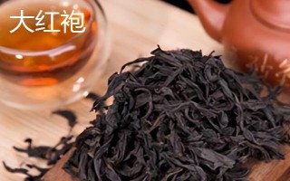 鳳凰單叢屬于紅茶還是綠茶，屬于烏龍茶