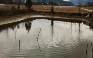利潤高的農(nóng)村創(chuàng)業(yè)項(xiàng)目，看準(zhǔn)市場再投資