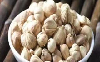 豆蔻的特點，是生活中常見的一種調(diào)料