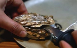 生蠔開殼方法，經(jīng)過蒸煮會自然開嘴