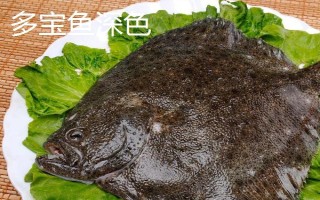 多寶魚深色和淺色的區(qū)別，主要體現(xiàn)在顏色不同