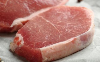 貓貓不能吃的食物，不能喂食牛奶、巧克力等
