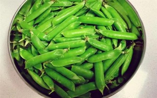 豌豆可以用冰箱保存嗎，放在冰箱中可延長保質(zhì)期