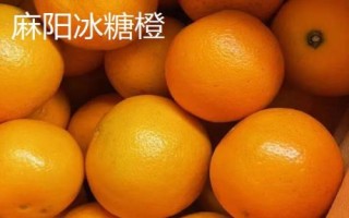 麻陽(yáng)冰糖橙還是贛南臍橙更好吃，主要取決于個(gè)人口味