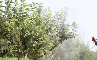 農(nóng)藥的毒性分類，主要分為劇毒農(nóng)藥、高毒農(nóng)藥、中毒農(nóng)藥等5個類型
