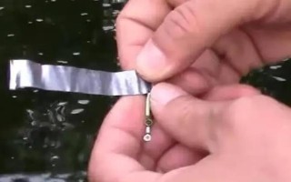 春天釣鯽魚用什么漂，根據(jù)垂釣場所調(diào)整浮漂選擇