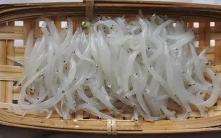 丹江口市銀魚的產(chǎn)地，產(chǎn)地主要在湖北十堰丹江口市