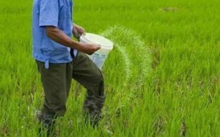 過(guò)量施磷肥的危害，會(huì)造成土壤理化性質(zhì)惡化