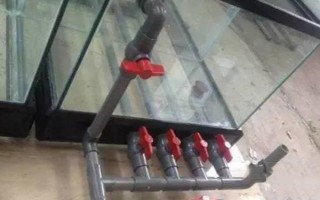 怎么能讓魚缸水泵靜音，需固定管路