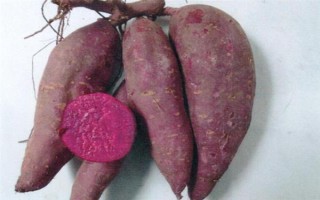 紫薯和紅薯的區(qū)別，前者味甜較貴、后者甜味淡較便宜