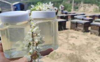 油菜蜜的價(jià)格,各地區(qū)的售價(jià)差異較大