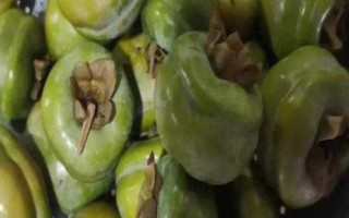 甘肅隴南市的特產(chǎn)水果，武都獼猴桃均屬野生