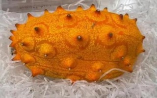 火參果是什么季節(jié)的水果，是夏秋季節(jié)的水果