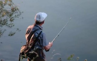 標(biāo)準(zhǔn)下頓口提竿不中魚(yú)的原因，最常見(jiàn)的是小魚(yú)鬧窩