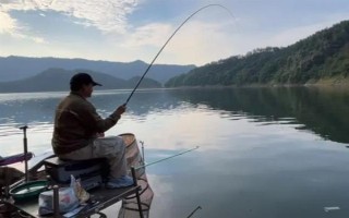 野釣黃尾魚(yú)適合用什么餌料，腥味型、麩香型、酒香型均可使用