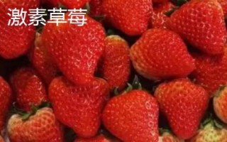 草莓屬于哪個(gè)季節(jié)的水果，常在春末夏初采摘上市